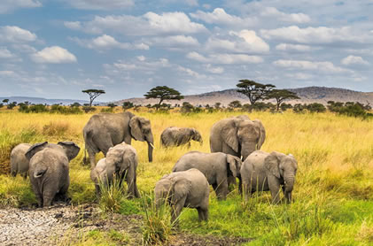 4 days amboseli national park3